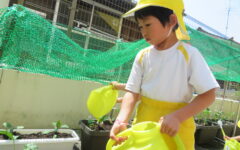 記事サムネイル画像
