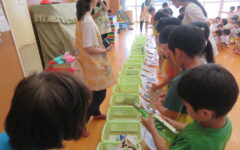 記事サムネイル画像